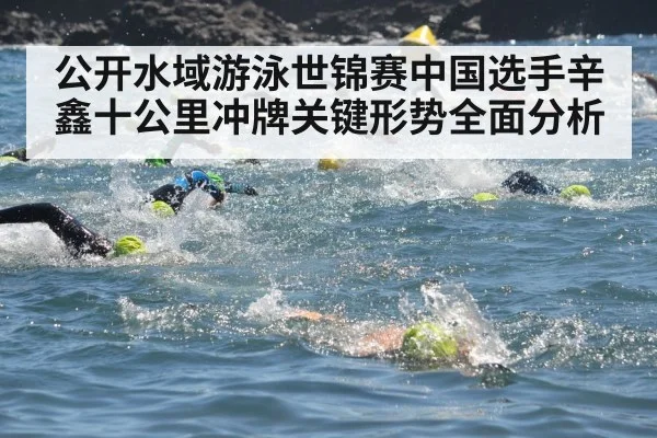 公开水域游泳世锦赛中国选手辛鑫十公里冲牌关键形势全面分析